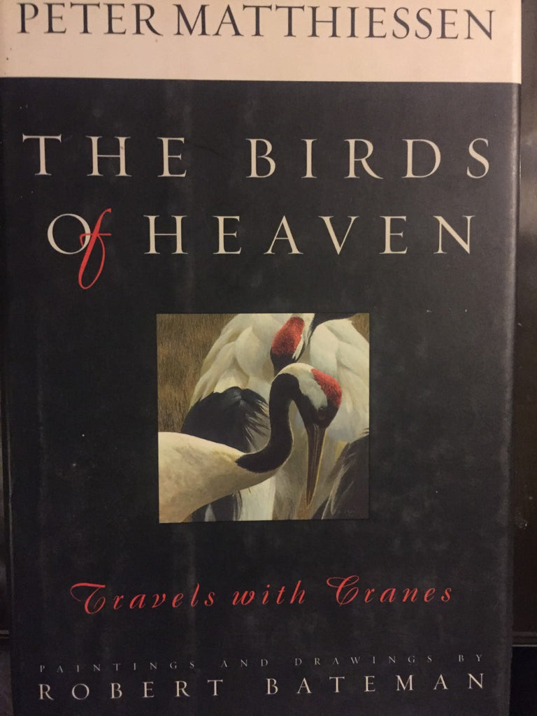 The Birds of Heaven (And other favorite bird stories)